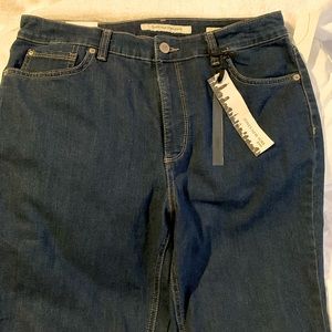 Secret Slimming Features (Ankle)